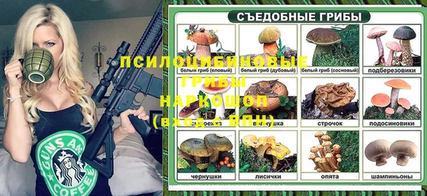 ГАЛЛЮЦИНОГЕННЫЕ ГРИБЫ Аркадак