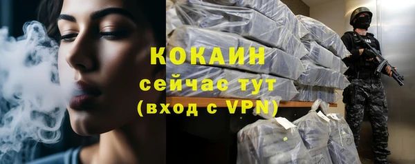 ГАЛЛЮЦИНОГЕННЫЕ ГРИБЫ Аркадак
