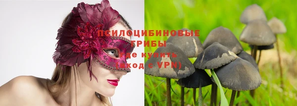a pvp Арсеньев
