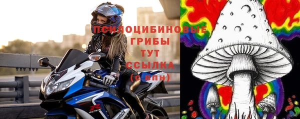 a pvp Арсеньев