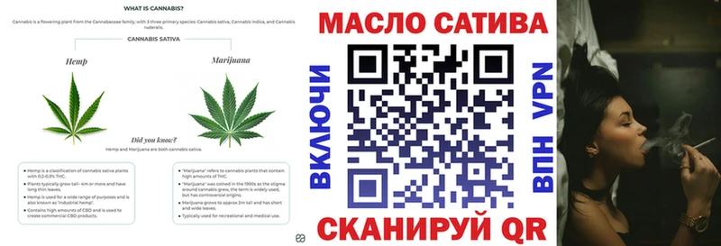 блэк спрут как зайти  Палласовка  ТГК THC oil 